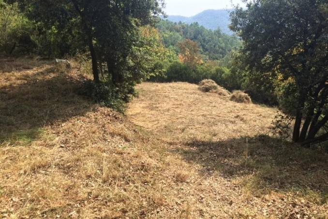 locale di sgombero in vendita a Savona in zona Santuario