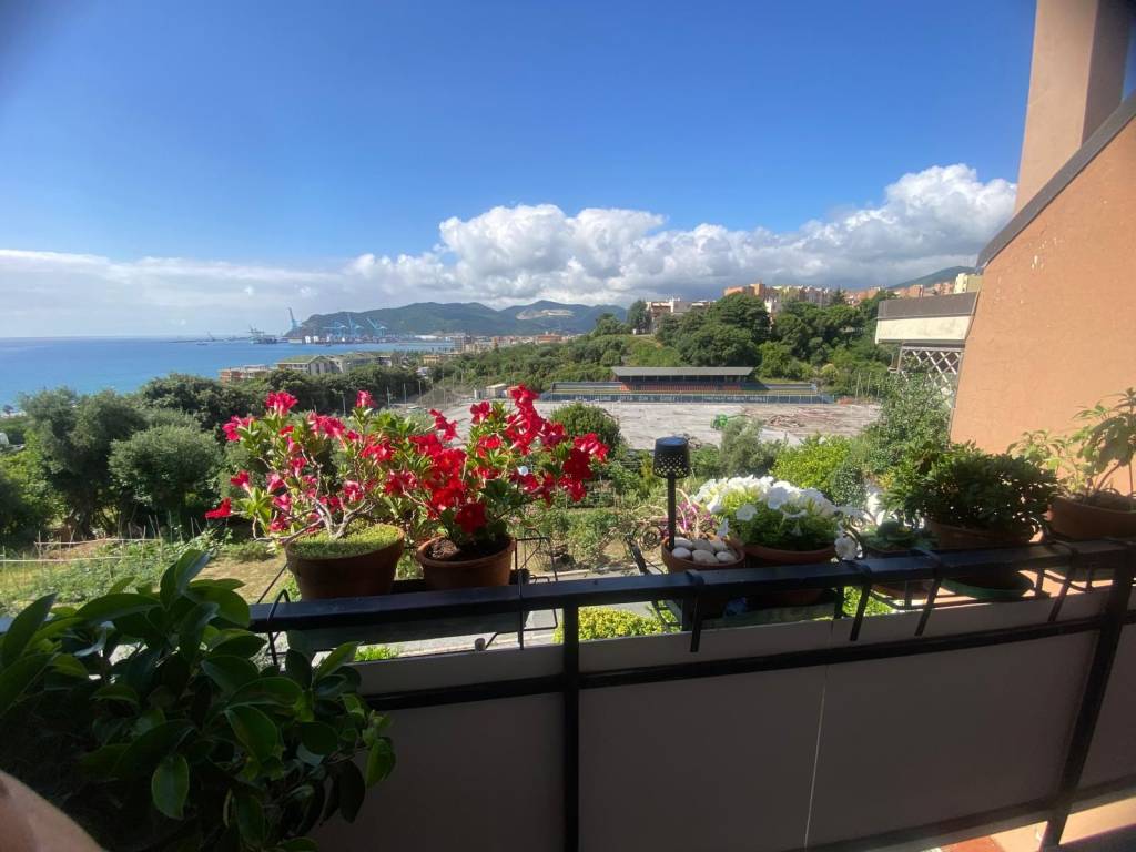 appartamento in vendita a Savona in zona Madonna del Monte