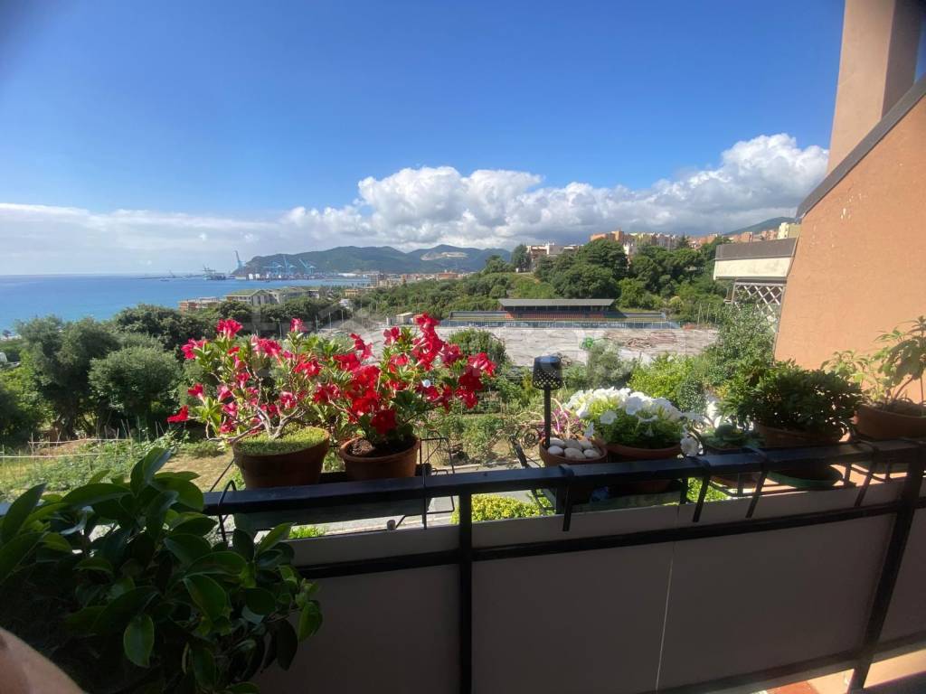 appartamento in vendita a Savona in zona Madonna del Monte