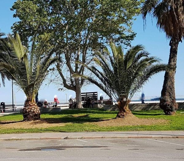 appartamento in vendita a Savona