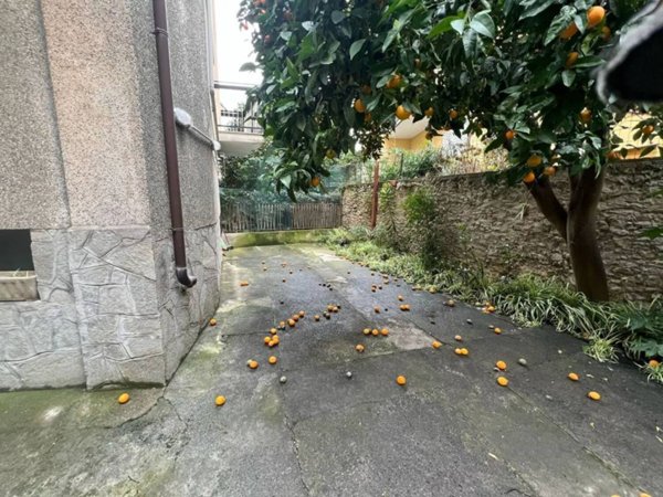 appartamento in vendita a Spotorno