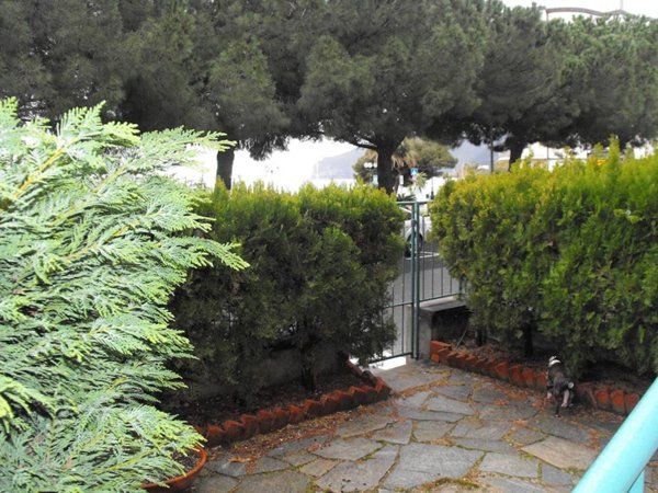 appartamento in vendita a Spotorno