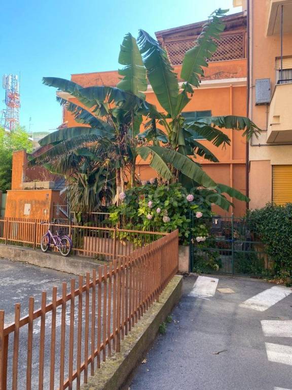 appartamento in vendita a Spotorno