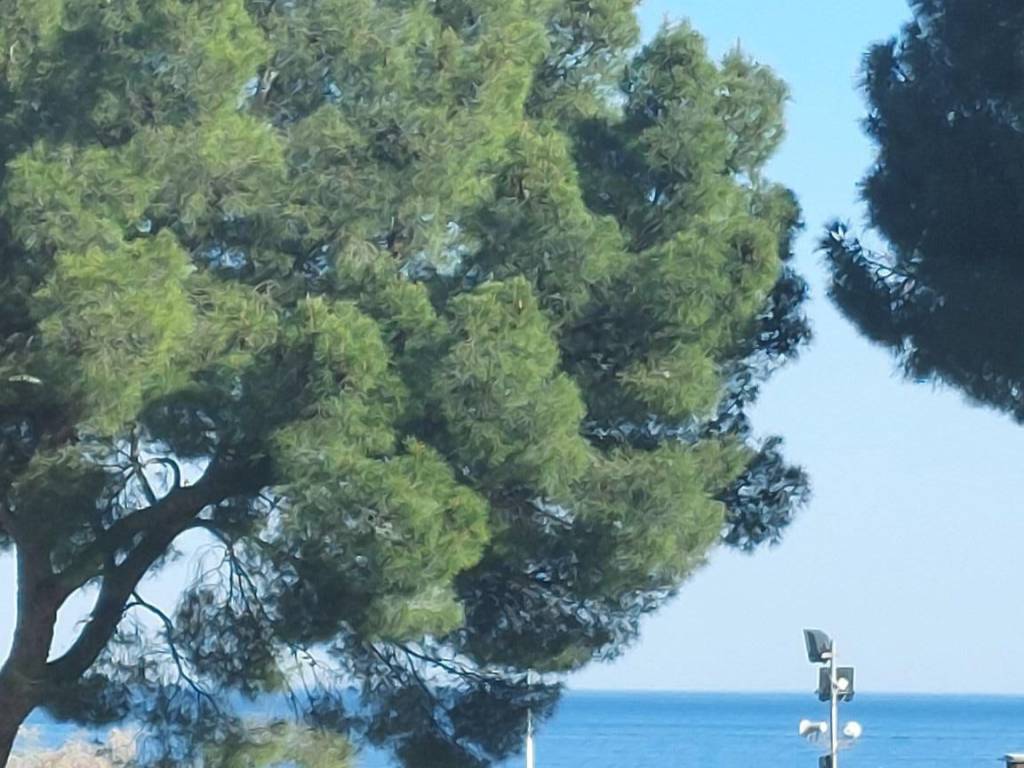 appartamento in vendita a Spotorno