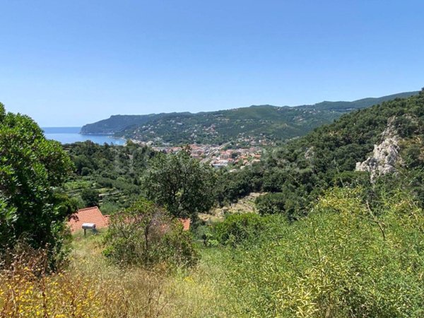 terreno agricolo in vendita a Spotorno