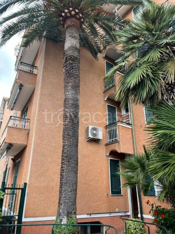 appartamento in vendita a Spotorno
