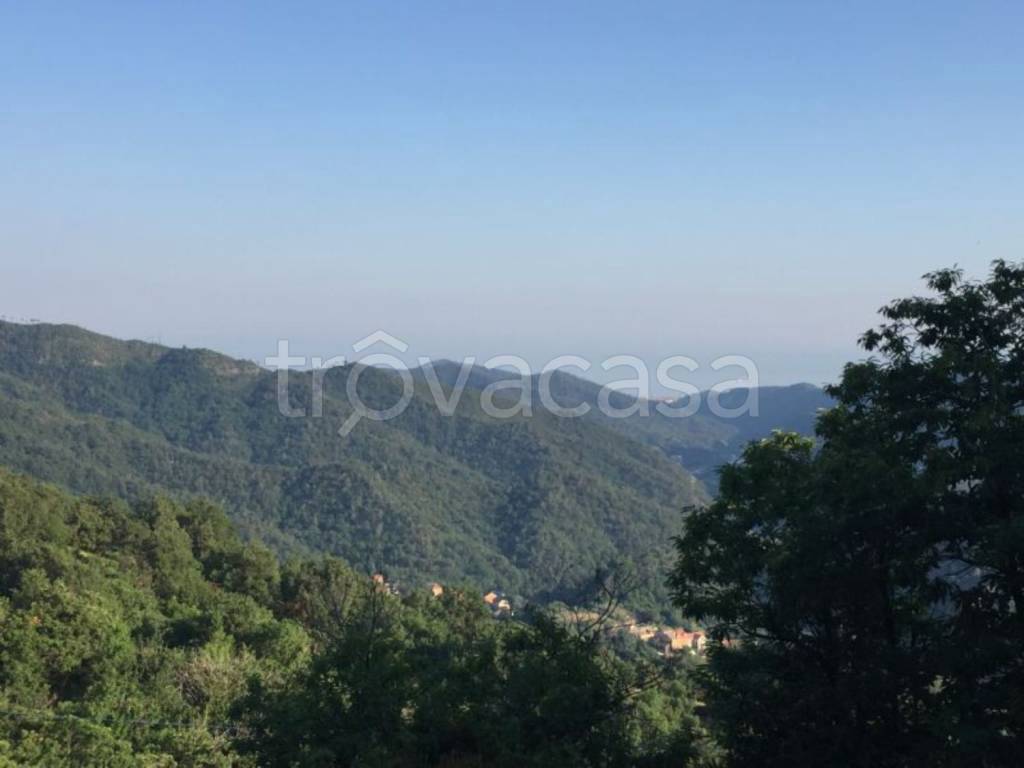 terreno agricolo in vendita a Stella