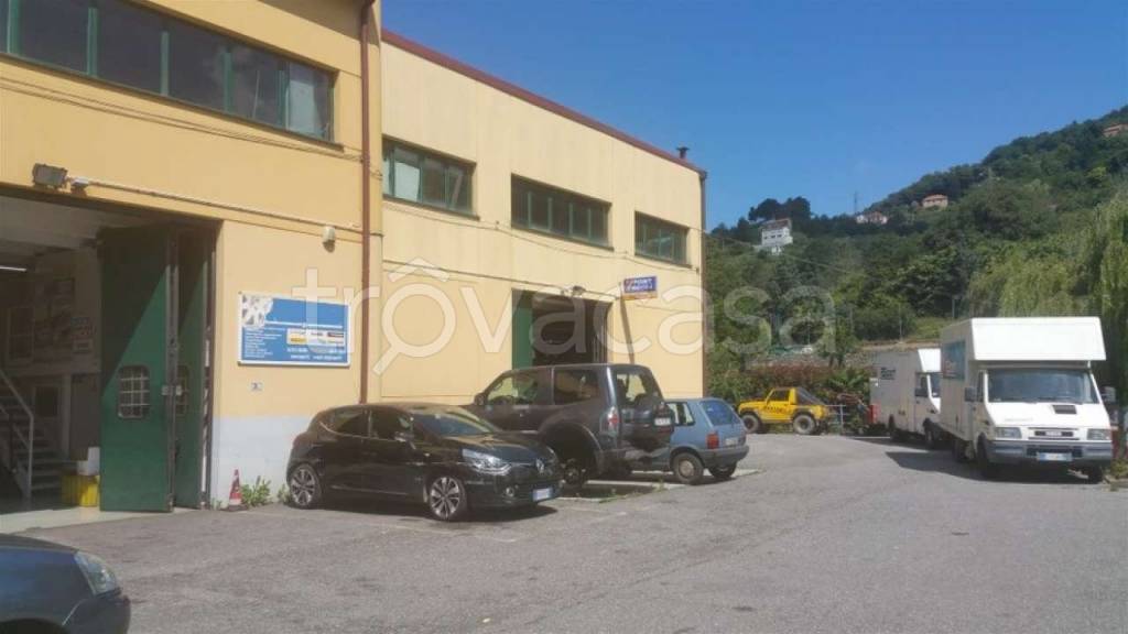 negozio in vendita a Stella