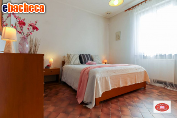 casa indipendente in vendita a Stella