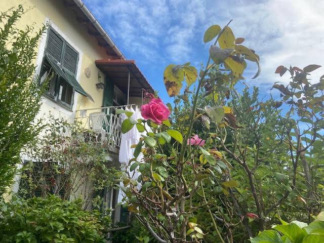 casa indipendente in vendita a Stella