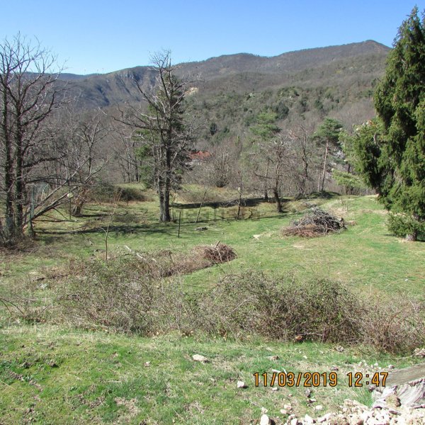 terreno agricolo in vendita a Stella