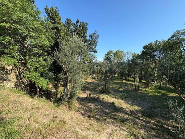 casa indipendente in vendita a Stella