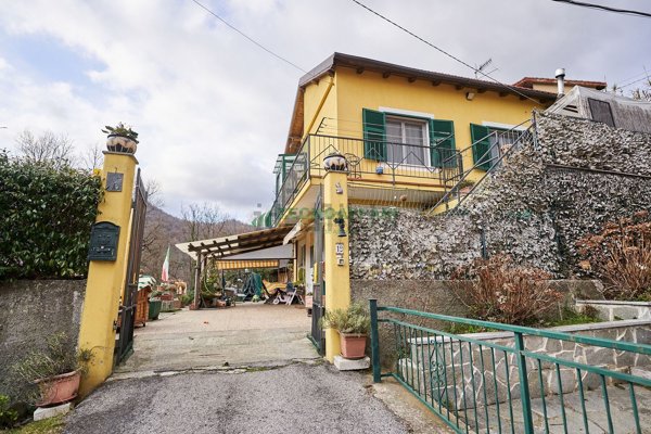 esavano in vendita a Stella