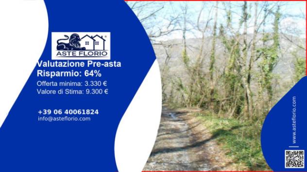 terreno agricolo in vendita a Stellanello