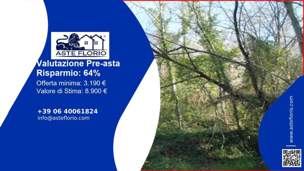 terreno agricolo in vendita a Stellanello