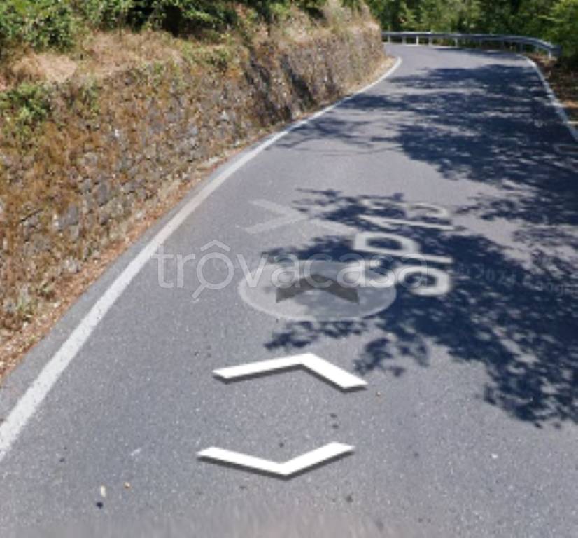 terreno agricolo in vendita a Stellanello