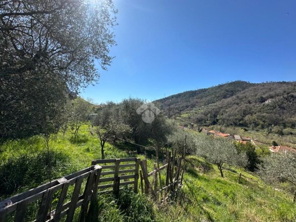 terreno agricolo in vendita a Stellanello