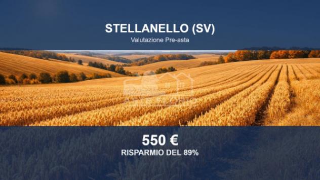 terreno agricolo in vendita a Stellanello