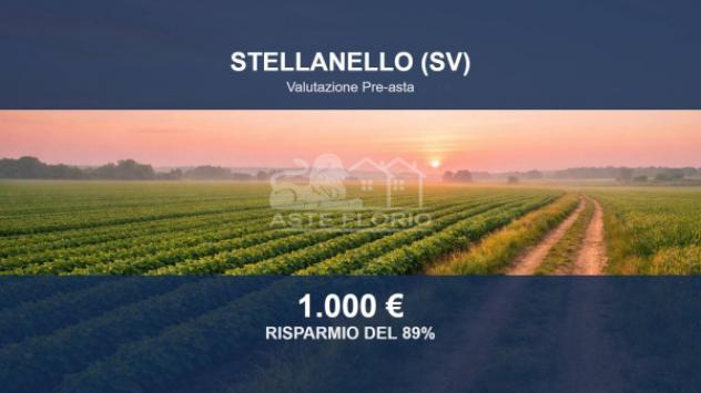 terreno agricolo in vendita a Stellanello