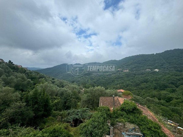 appartamento in vendita a Testico in zona Ginestro