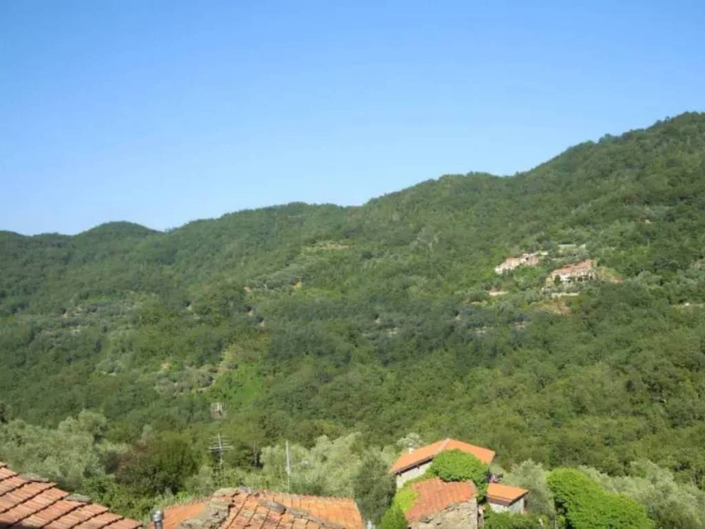 casa indipendente in vendita a Testico in zona Ginestro