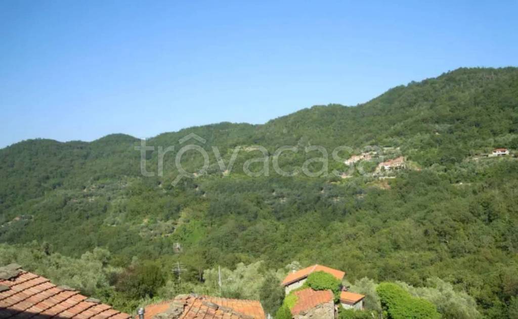 casa indipendente in vendita a Testico in zona Ginestro