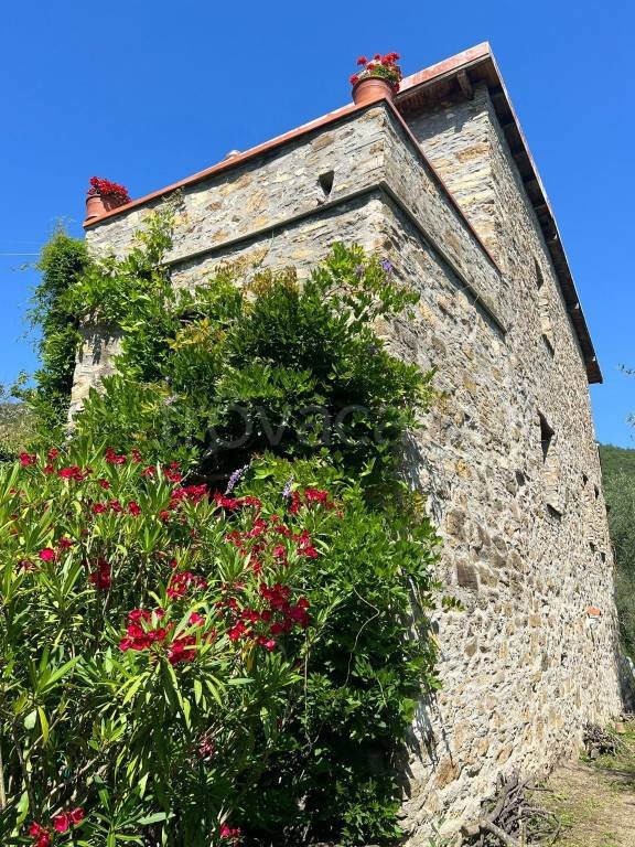 casa indipendente in vendita a Testico