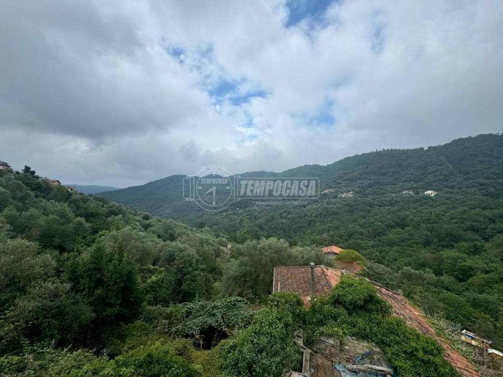 casa indipendente in vendita a Testico in zona Ginestro