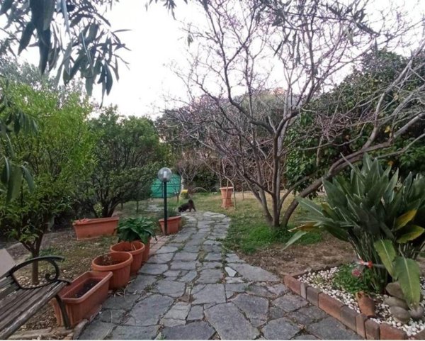 casa indipendente in vendita a Toirano