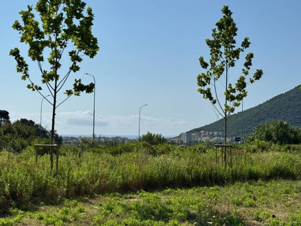negozio in vendita a Toirano