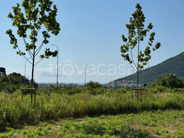 negozio in vendita a Toirano