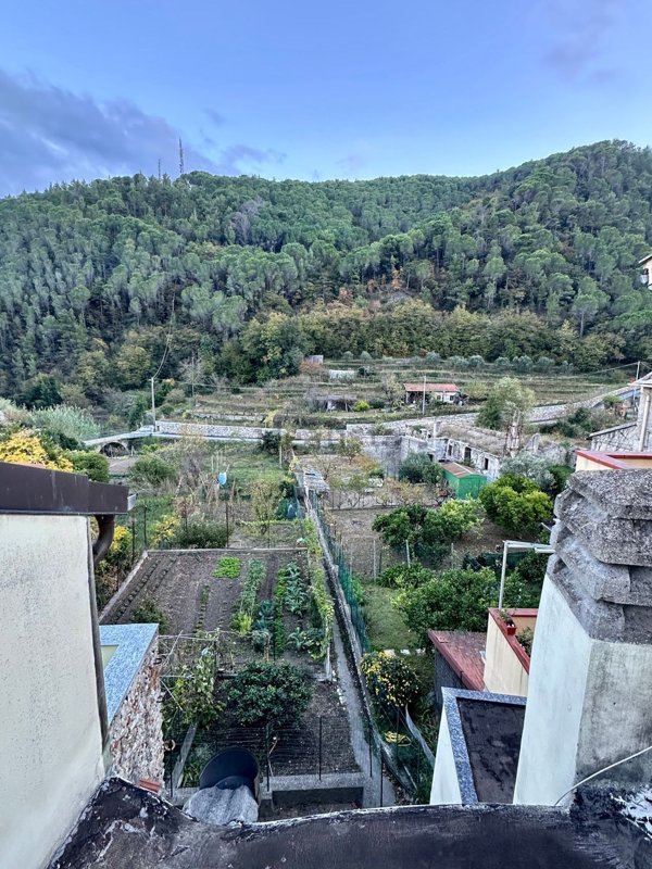 esavano in vendita a Toirano