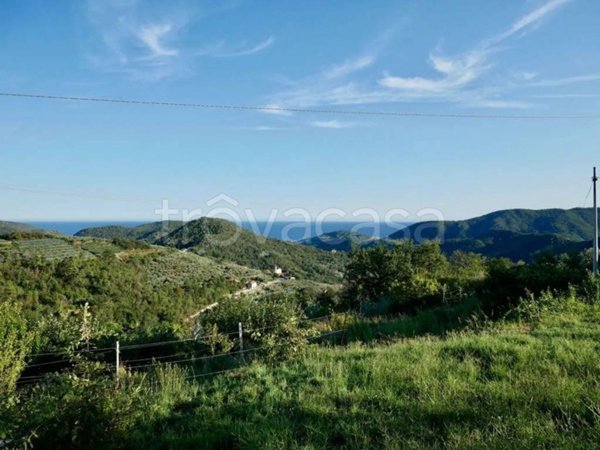 terreno agricolo in vendita a Tovo San Giacomo in zona Bardino Nuovo