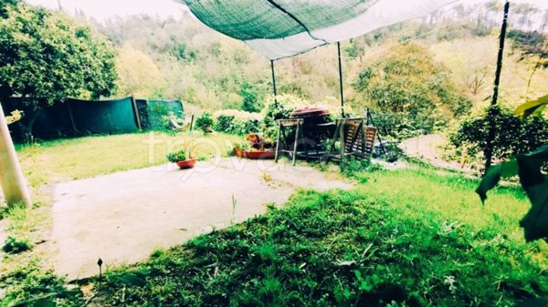 casa indipendente in vendita a Tovo San Giacomo