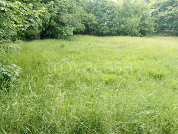 terreno agricolo in vendita ad Urbe in zona Acquabianca