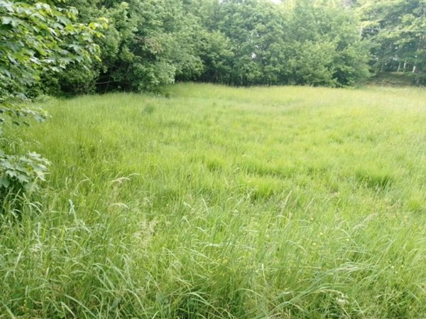 terreno agricolo in vendita ad Urbe in zona Acquabianca