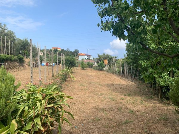casa indipendente in vendita a Vado Ligure in zona Segno