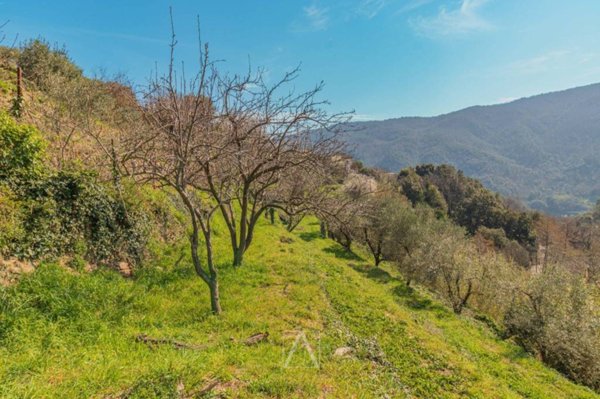 terreno agricolo in vendita a Vado Ligure in zona Segno