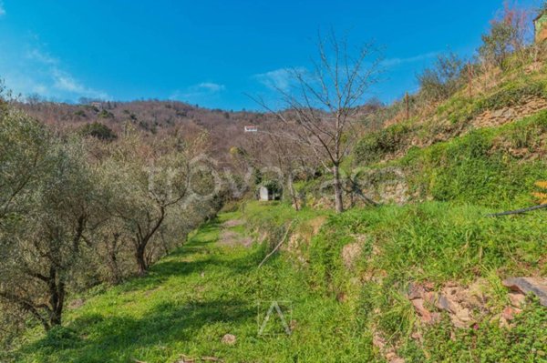 terreno agricolo in vendita a Vado Ligure in zona Segno