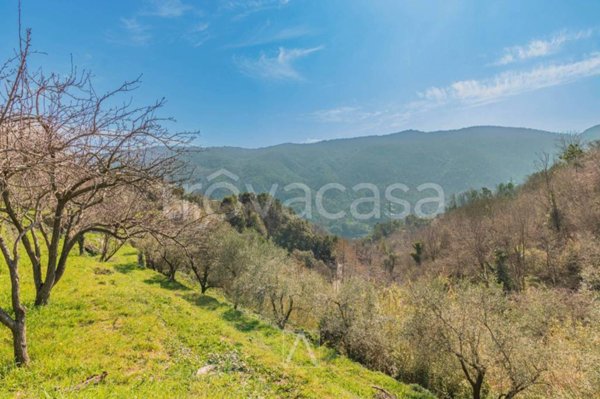terreno agricolo in vendita a Vado Ligure in zona Segno