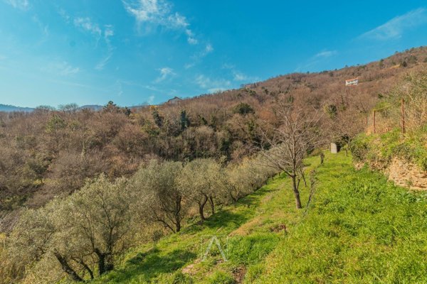 terreno agricolo in vendita a Vado Ligure in zona Segno