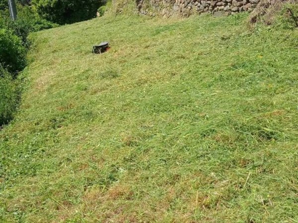 terreno agricolo in vendita a Vado Ligure in zona Sant'Ermete