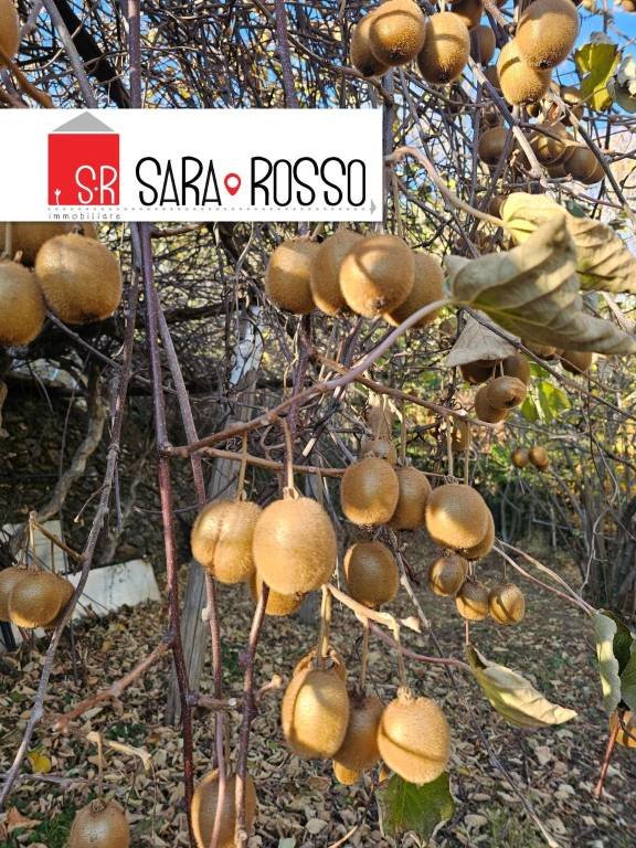 terreno agricolo in vendita a Vado Ligure in zona Segno