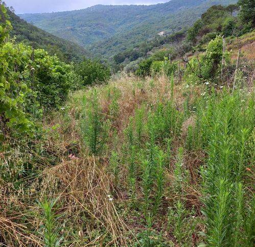 locale di sgombero in vendita a Vado Ligure in zona Sant'Ermete