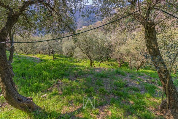 terreno edificabile in vendita a Vado Ligure in zona Segno