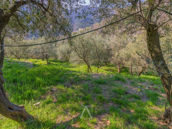 terreno agricolo in vendita a Vado Ligure in zona Segno