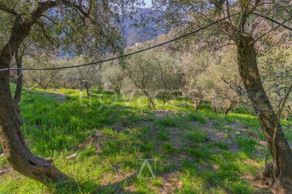 terreno agricolo in vendita a Vado Ligure in zona Segno