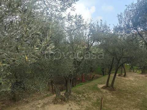 terreno agricolo in vendita a Vado Ligure
