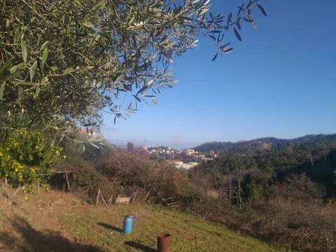 locale di sgombero in vendita a Vado Ligure in zona Valle di Vado