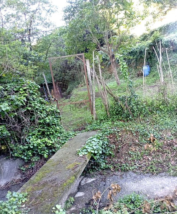 terreno agricolo in vendita a Vado Ligure in zona Valle di Vado